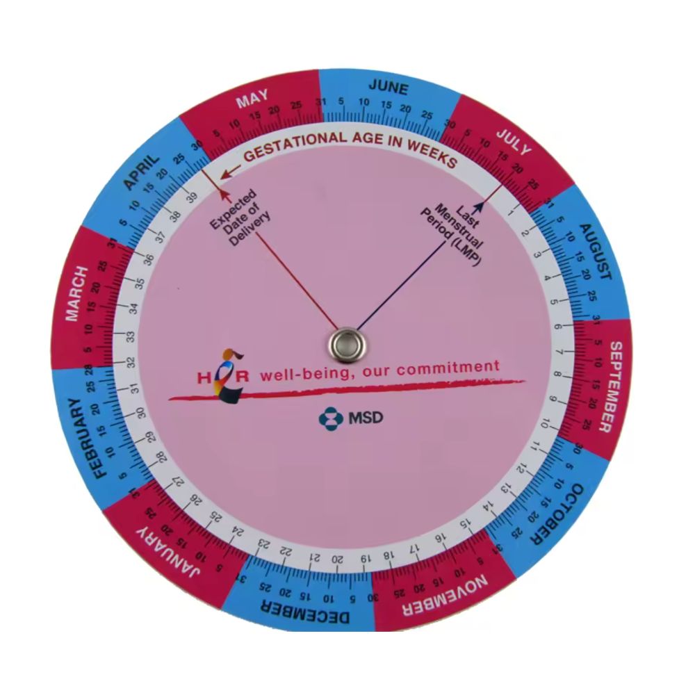 Calendario gestacional (gestograma) circular con escala de semanas y meses