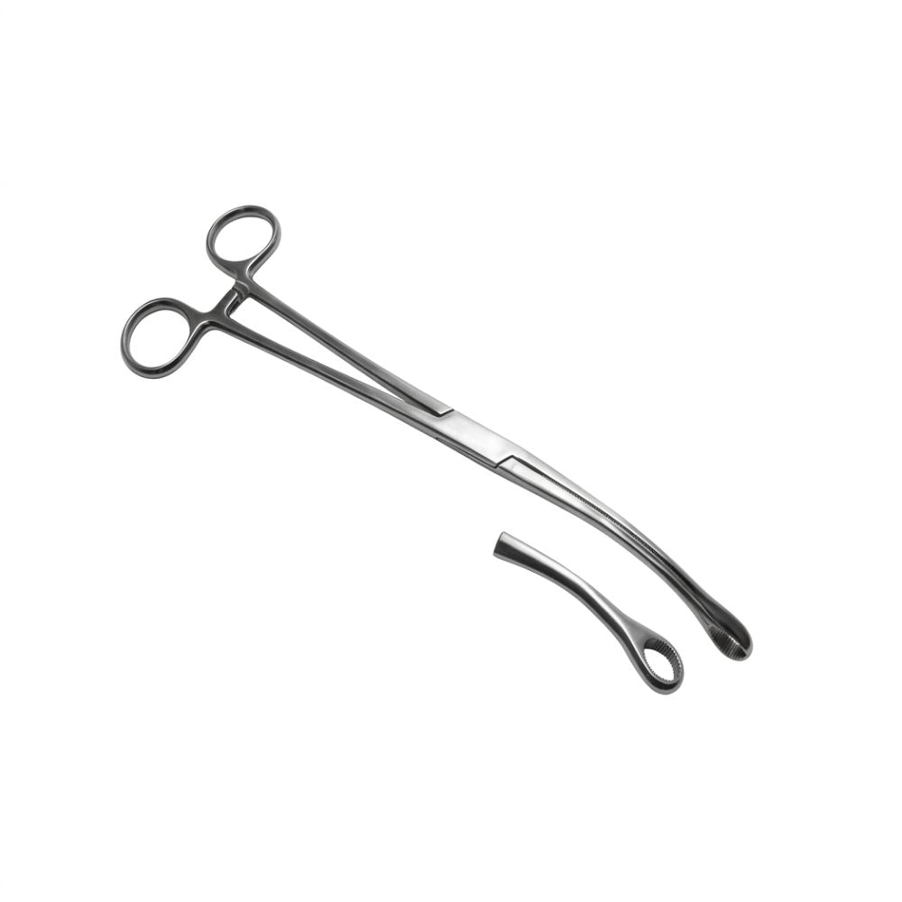 Pinza Forester curva 25 cm in acciaio con anelli per presa