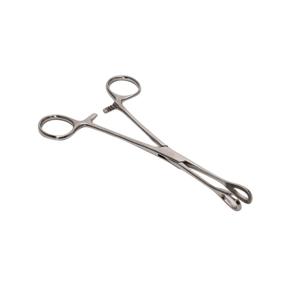 Pinza Forester recta de 25 cm con empuñaduras a anillo y puntas con estrías